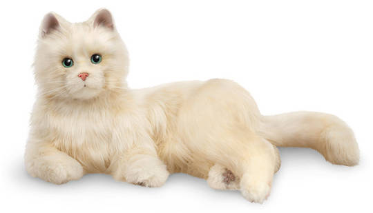 Companion Pet/Creamy White Cat